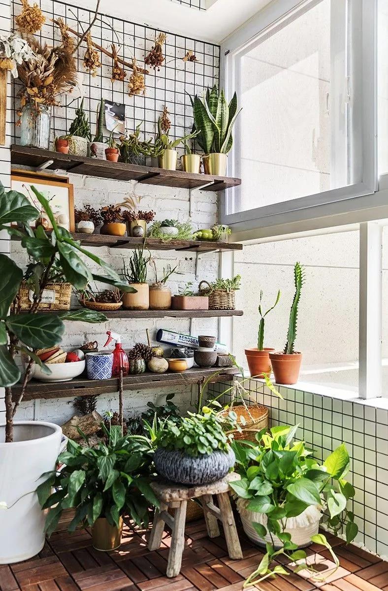 种植区